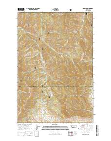 Arrow Peak 2014 topographic map thumbnail