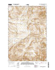 Black Butte Mountain 2014 topographic map thumbnail