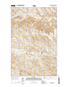 Billick Coulee 2014 topographic map thumbnail