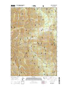 Coney Peak 2014 topographic map thumbnail