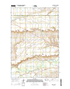 Fort Shaw 2014 topographic map thumbnail