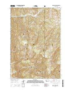 Grassy Mountain 2014 topographic map thumbnail