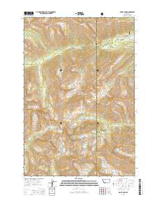 Crazy Peak 2014 topographic map thumbnail