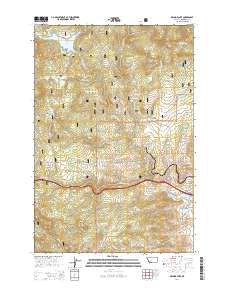 Delmoe Lake 2014 topographic map thumbnail
