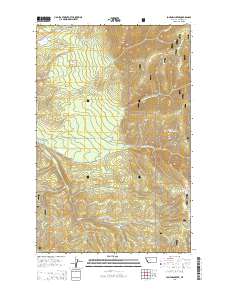 Loneman Creek 2014 topographic map thumbnail