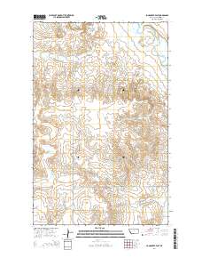 Long Creek East 2014 topographic map thumbnail