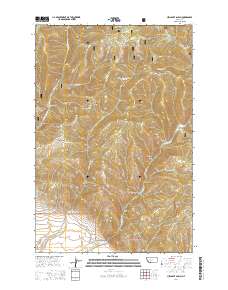 Hellgate Gulch 2014 topographic map thumbnail