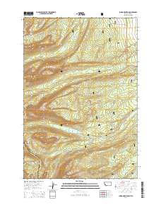 Jumbo Mountain 2014 topographic map thumbnail