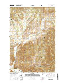 Lincoln Gulch 2014 topographic map thumbnail