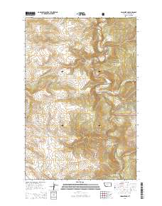Lingshire NE 2014 topographic map thumbnail
