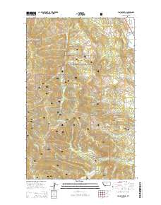 Lion Mountain 2014 topographic map thumbnail