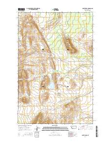 Lake Theboe 2014 topographic map thumbnail