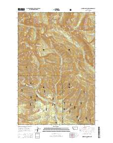 Morrell Mountain 2014 topographic map thumbnail
