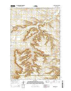 Mount Sinai 2014 topographic map thumbnail