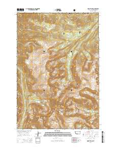 Mount Wood 2014 topographic map thumbnail