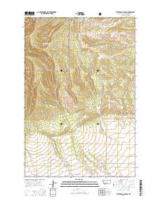 Patterson Canyon 2014 topographic map thumbnail