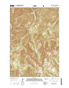Mineral Mountain 2014 topographic map thumbnail