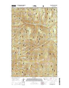 Red Mountain 2014 topographic map thumbnail