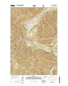 Mixes Baldy 2014 topographic map thumbnail
