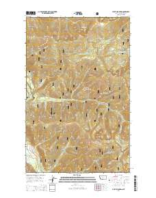 Pulpit Mountain 2014 topographic map thumbnail