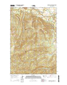 Chamberlain Mountain 2014 topographic map thumbnail