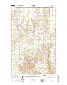 Cameron Point 2014 topographic map thumbnail