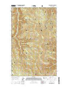 Parsnip Mountain 2014 topographic map thumbnail