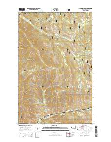 Richards Mountain 2014 topographic map thumbnail