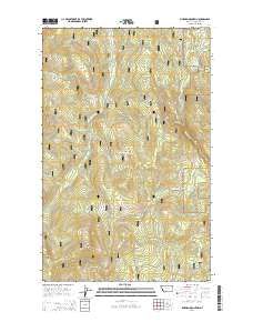 Pinkham Mountain 2014 topographic map thumbnail