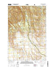 Pintler Lake 2014 topographic map thumbnail
