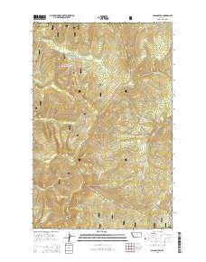Bassoo Peak 2014 topographic map thumbnail