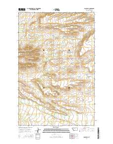 Blackleaf 2014 topographic map thumbnail