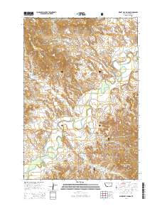 Birney Day School 2014 topographic map thumbnail