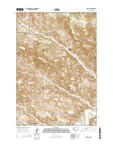 Birney SW 2014 topographic map thumbnail