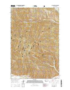 Blue Mountain 2014 topographic map thumbnail