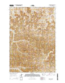 Badger Peak 2014 topographic map thumbnail