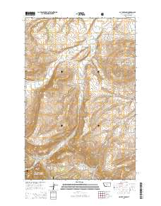 Cayuse Basin 2014 topographic map thumbnail