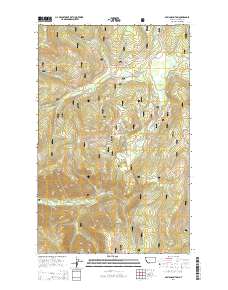 Davis Mountain 2014 topographic map thumbnail