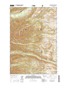 Amelong Creek 2014 topographic map thumbnail