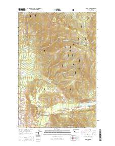 Baldy Lake 2014 topographic map thumbnail
