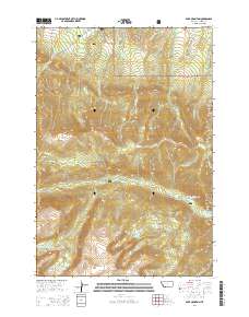 Bare Mountain 2014 topographic map thumbnail