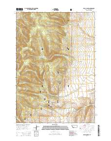 Brays Canyon 2014 topographic map thumbnail