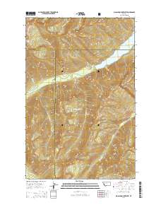 Big Salmon Lake West 2014 topographic map thumbnail