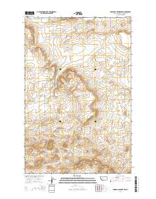 Bowmans Corners NW 2014 topographic map thumbnail