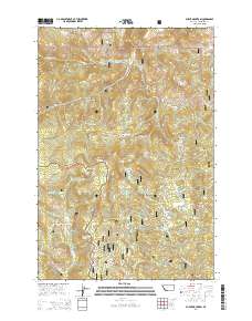 Burnt Mountain 2014 topographic map thumbnail