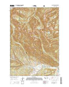 Gallatin Peak 2014 topographic map thumbnail