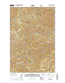 Elk Mountain 2014 topographic map thumbnail