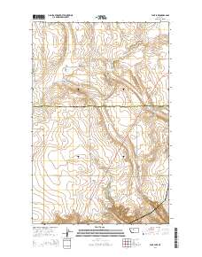 Flick Lake 2014 topographic map thumbnail