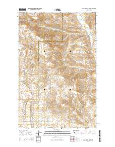 Flynn Creek North 2014 topographic map thumbnail