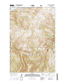 Fourmile Spring 2014 topographic map thumbnail